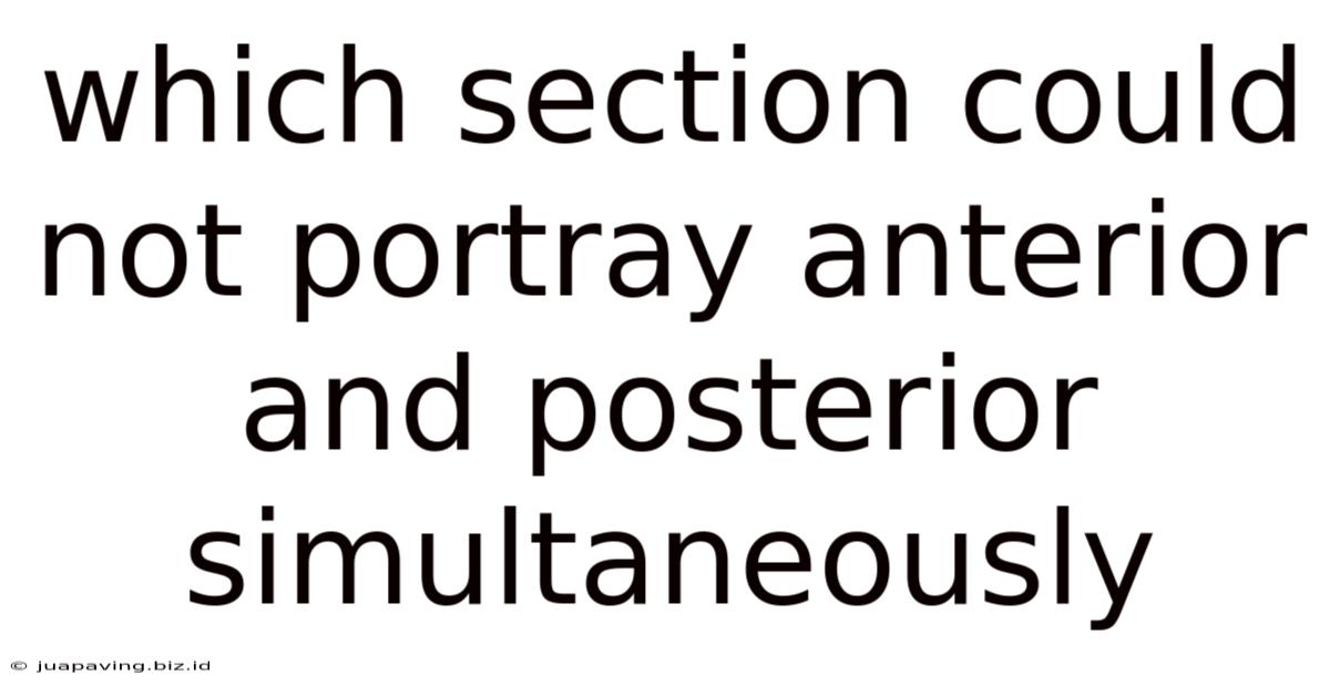 Which Section Could Not Portray Anterior And Posterior Simultaneously