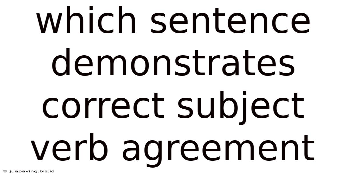 Which Sentence Demonstrates Correct Subject Verb Agreement