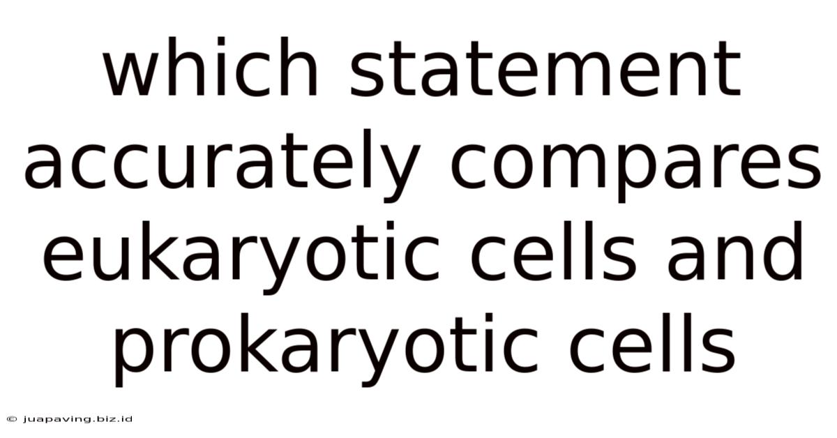 Which Statement Accurately Compares Eukaryotic Cells And Prokaryotic Cells