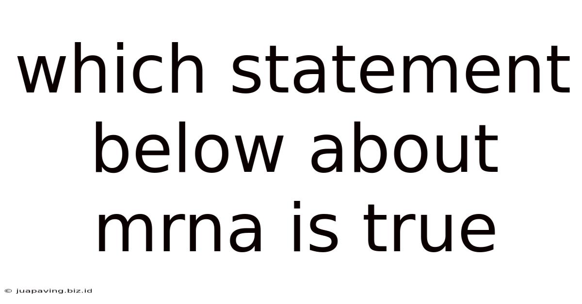 Which Statement Below About Mrna Is True