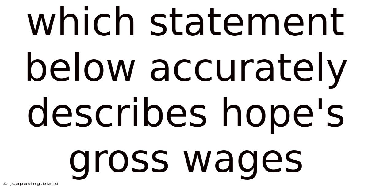 Which Statement Below Accurately Describes Hope's Gross Wages