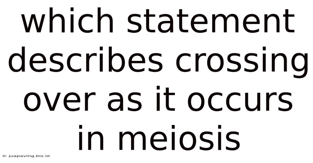 Which Statement Describes Crossing Over As It Occurs In Meiosis