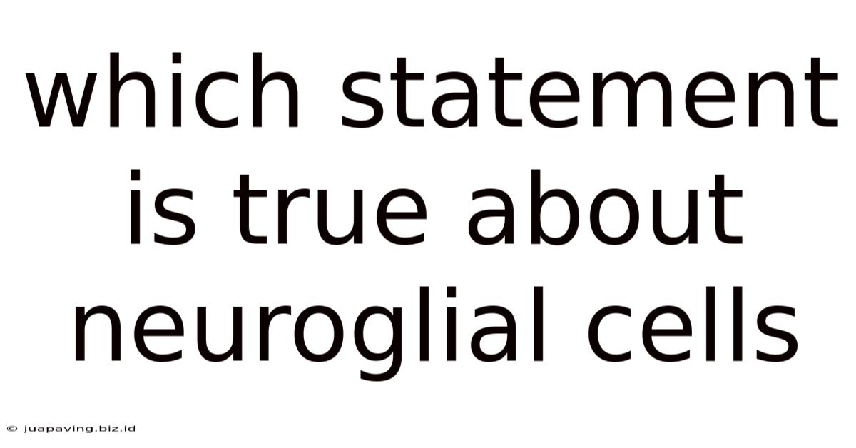 Which Statement Is True About Neuroglial Cells