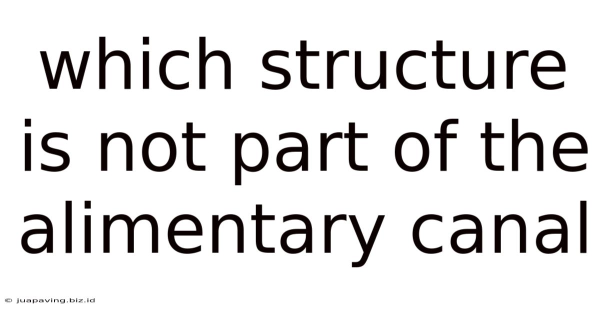 Which Structure Is Not Part Of The Alimentary Canal