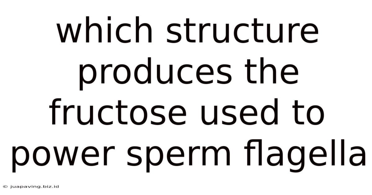 Which Structure Produces The Fructose Used To Power Sperm Flagella