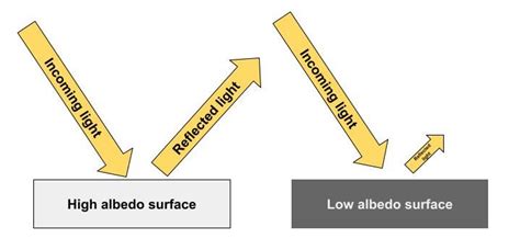 Which Surface Would Have The Highest Albedo