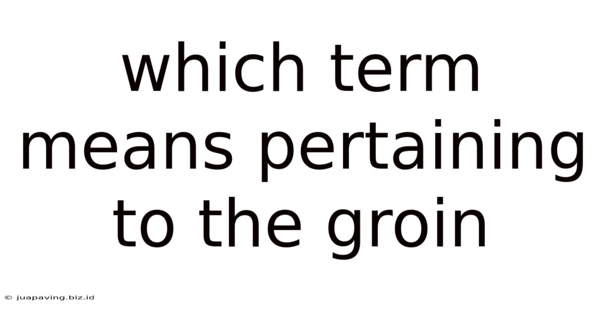Which Term Means Pertaining To The Groin