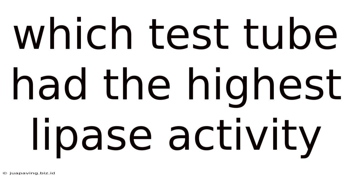 Which Test Tube Had The Highest Lipase Activity