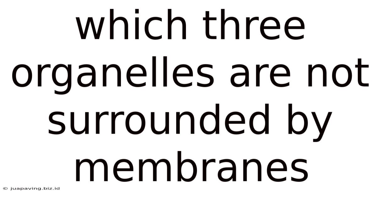 Which Three Organelles Are Not Surrounded By Membranes