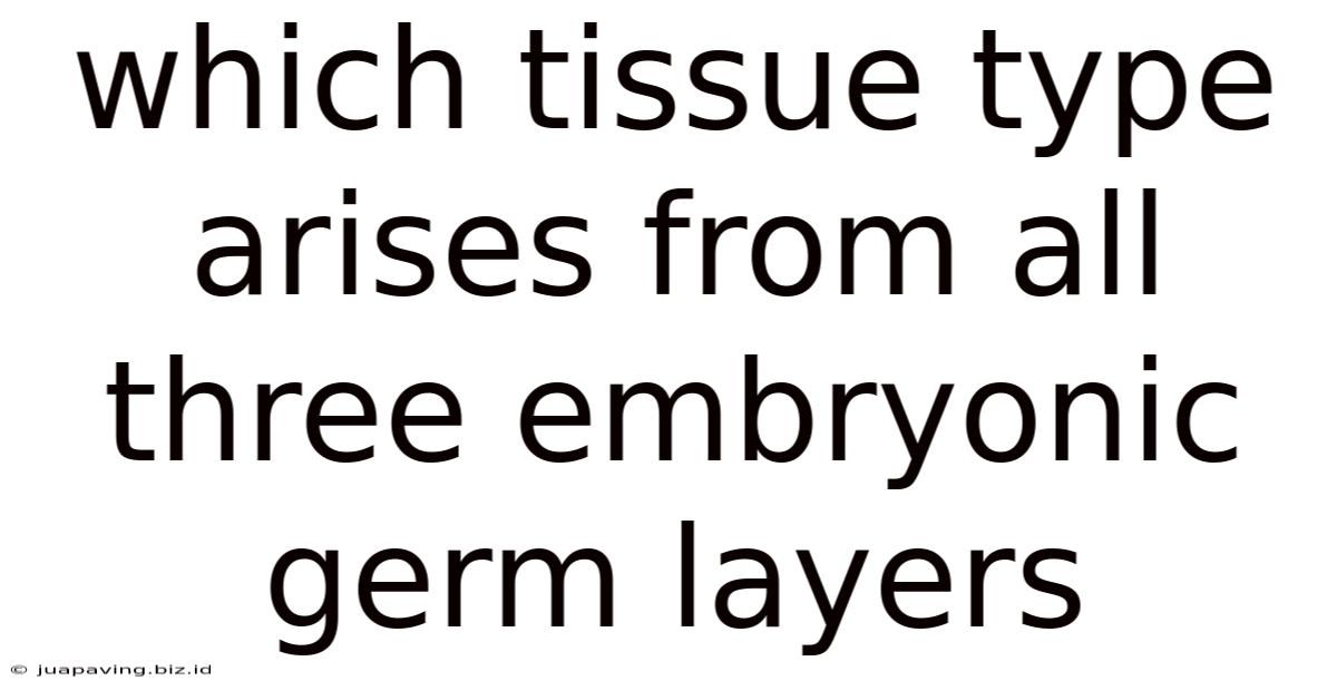 Which Tissue Type Arises From All Three Embryonic Germ Layers