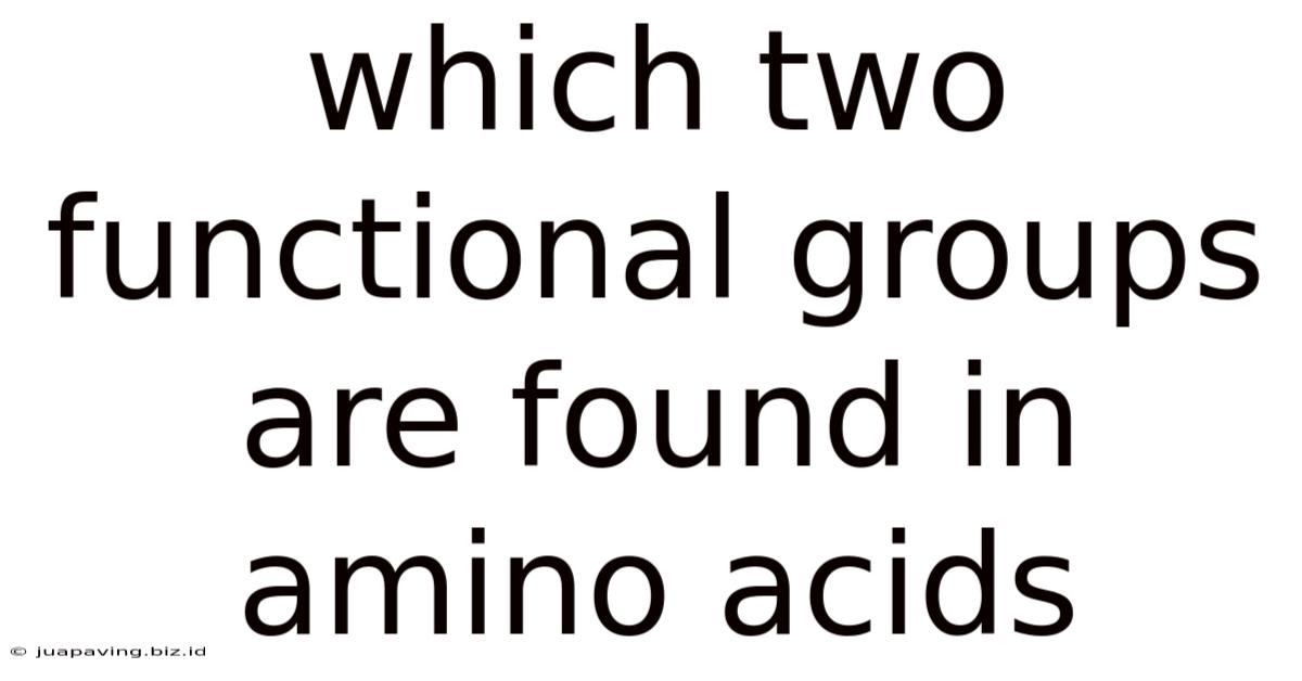 Which Two Functional Groups Are Found In Amino Acids