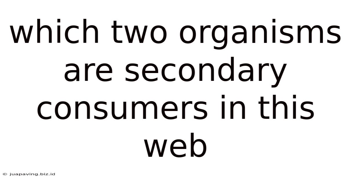 Which Two Organisms Are Secondary Consumers In This Web