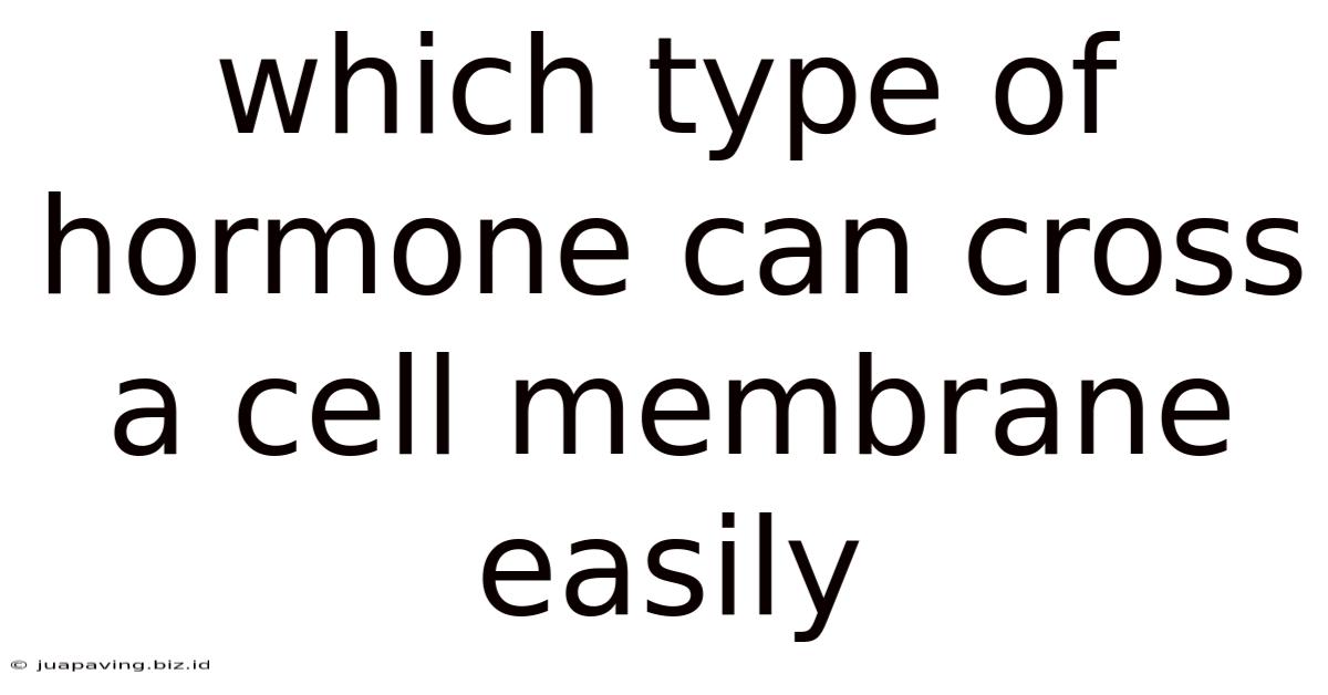 Which Type Of Hormone Can Cross A Cell Membrane Easily
