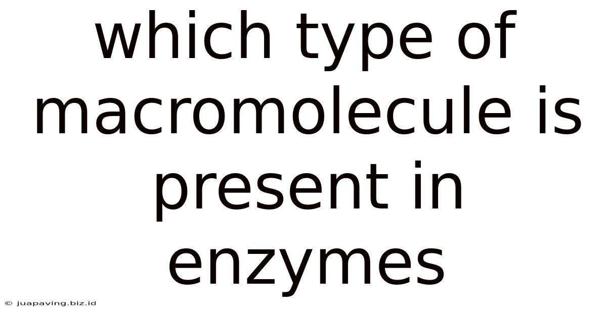 Which Type Of Macromolecule Is Present In Enzymes