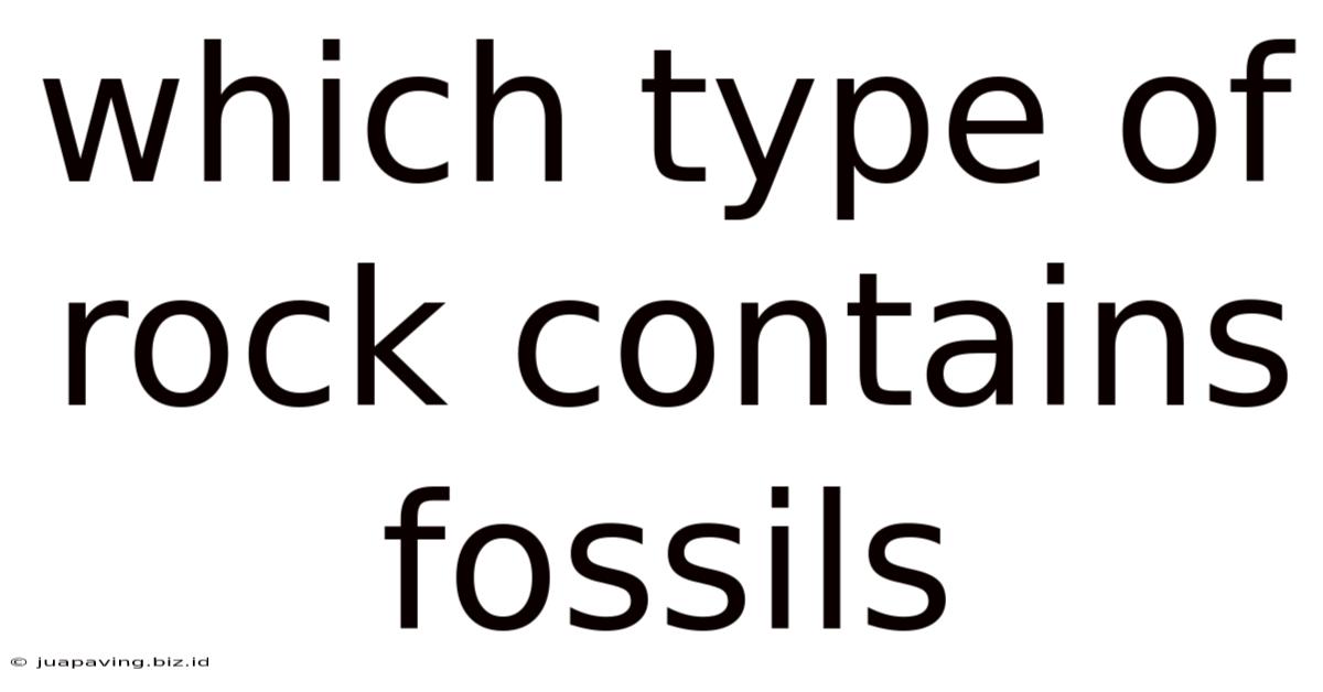 Which Type Of Rock Contains Fossils