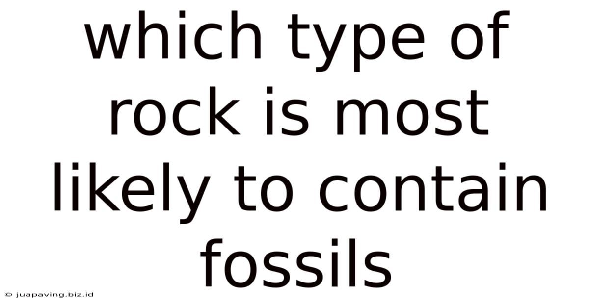 Which Type Of Rock Is Most Likely To Contain Fossils