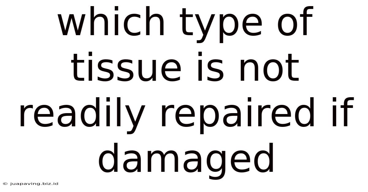 Which Type Of Tissue Is Not Readily Repaired If Damaged