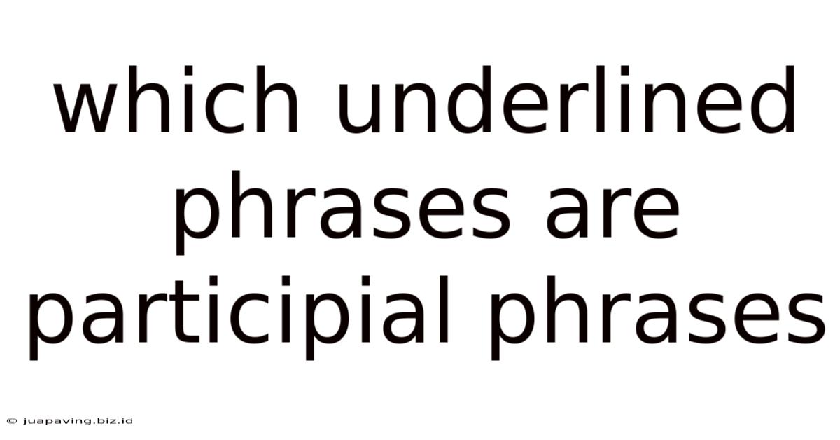 Which Underlined Phrases Are Participial Phrases