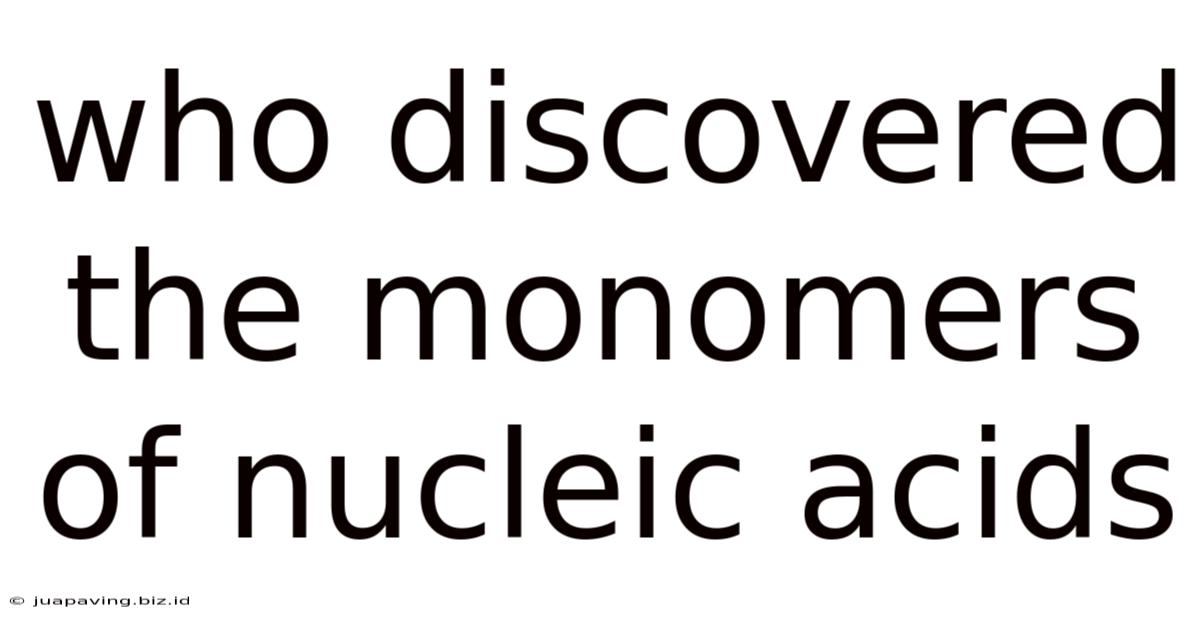 Who Discovered The Monomers Of Nucleic Acids