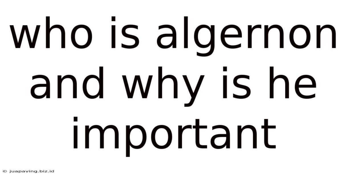 Who Is Algernon And Why Is He Important