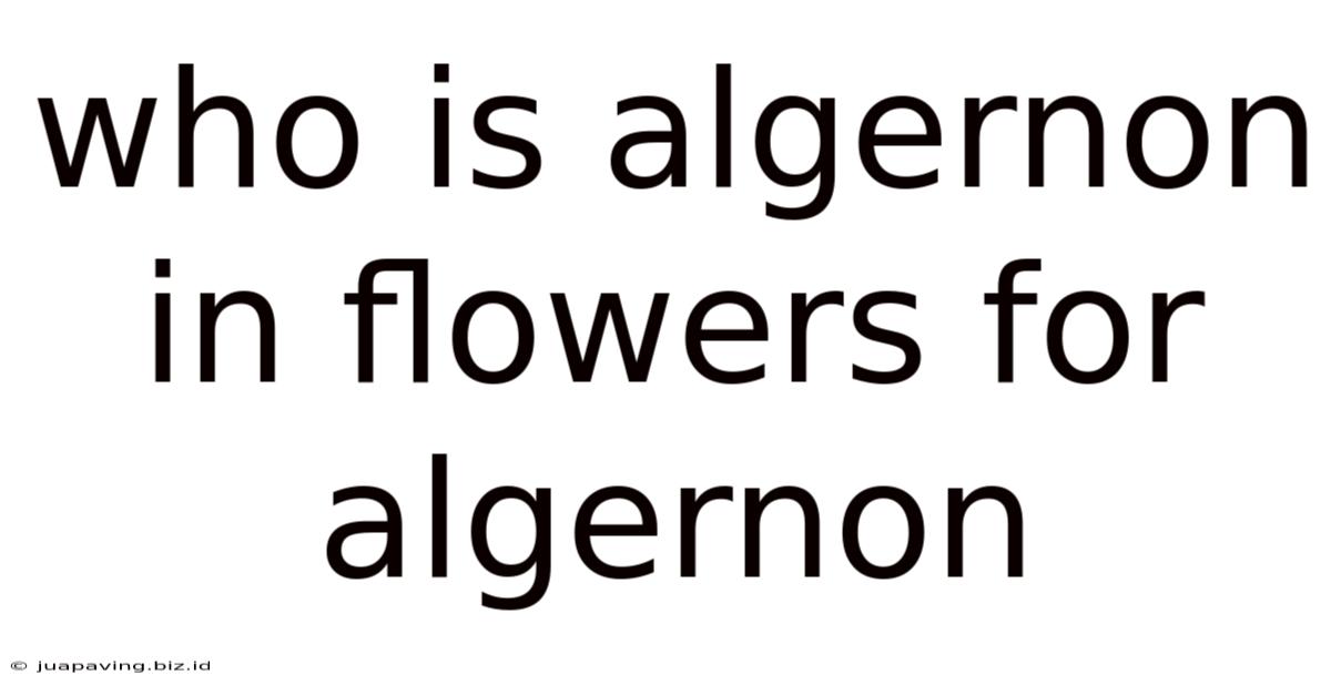 Who Is Algernon In Flowers For Algernon