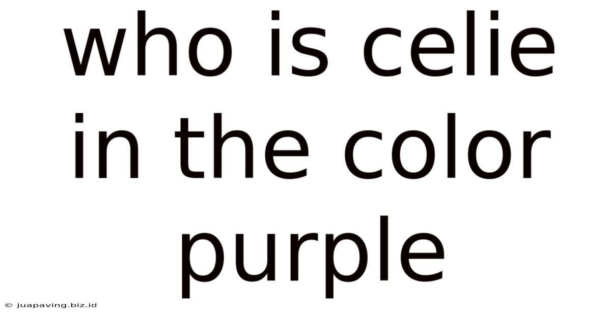 Who Is Celie In The Color Purple