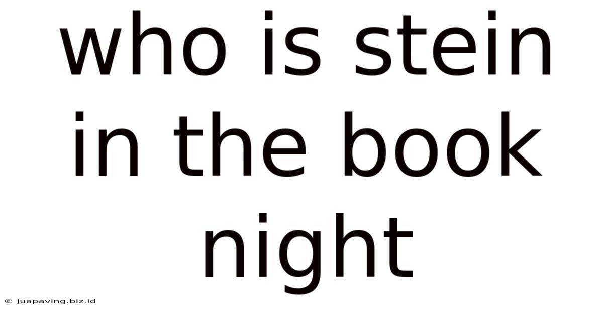 Who Is Stein In The Book Night
