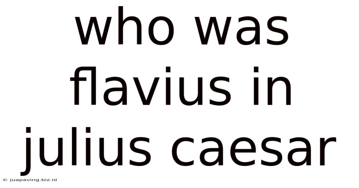 Who Was Flavius In Julius Caesar