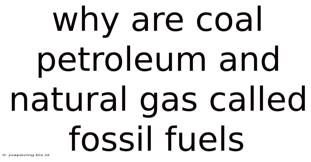 Why Are Coal Petroleum And Natural Gas Called Fossil Fuels
