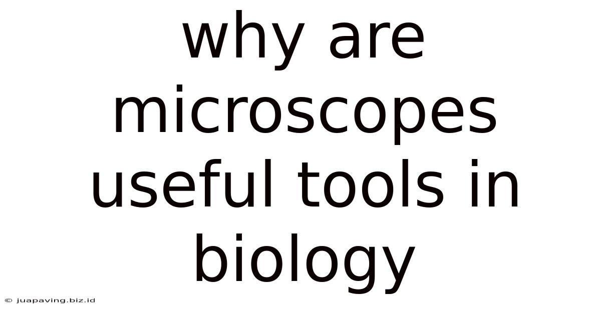 Why Are Microscopes Useful Tools In Biology