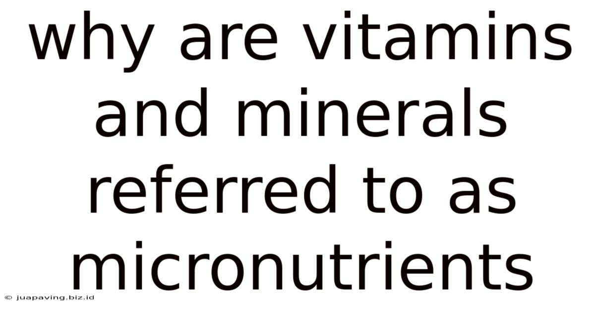 Why Are Vitamins And Minerals Referred To As Micronutrients