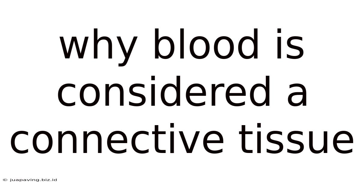 Why Blood Is Considered A Connective Tissue