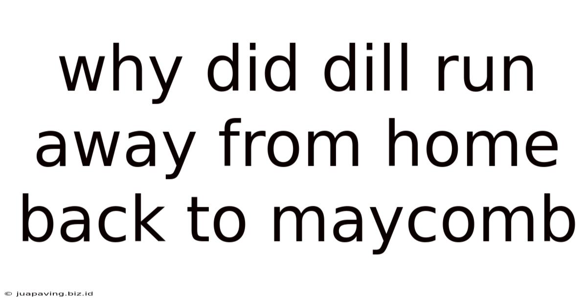 Why Did Dill Run Away From Home Back To Maycomb