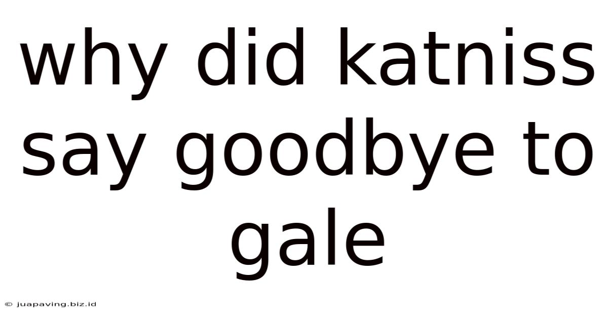 Why Did Katniss Say Goodbye To Gale