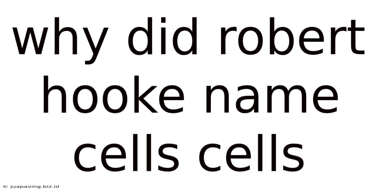 Why Did Robert Hooke Name Cells Cells