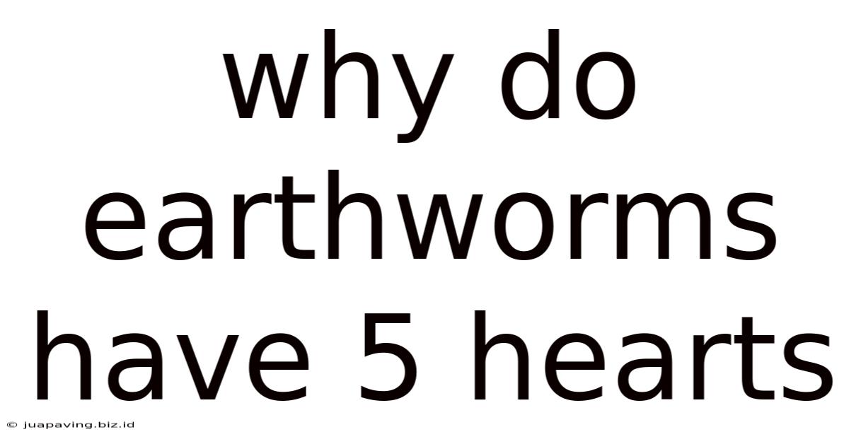 Why Do Earthworms Have 5 Hearts