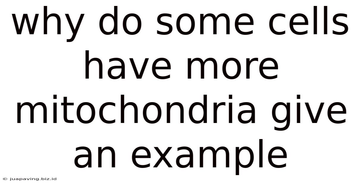 Why Do Some Cells Have More Mitochondria Give An Example