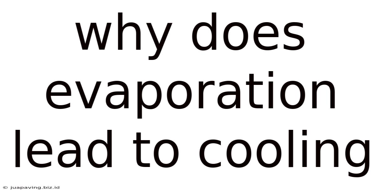 Why Does Evaporation Lead To Cooling