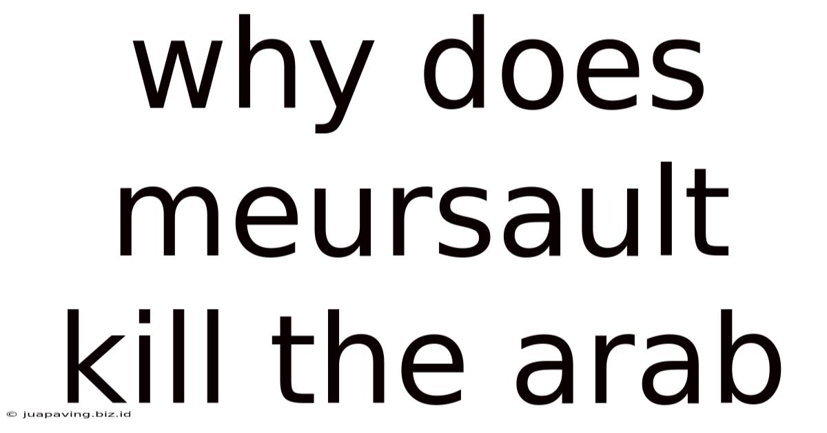 Why Does Meursault Kill The Arab