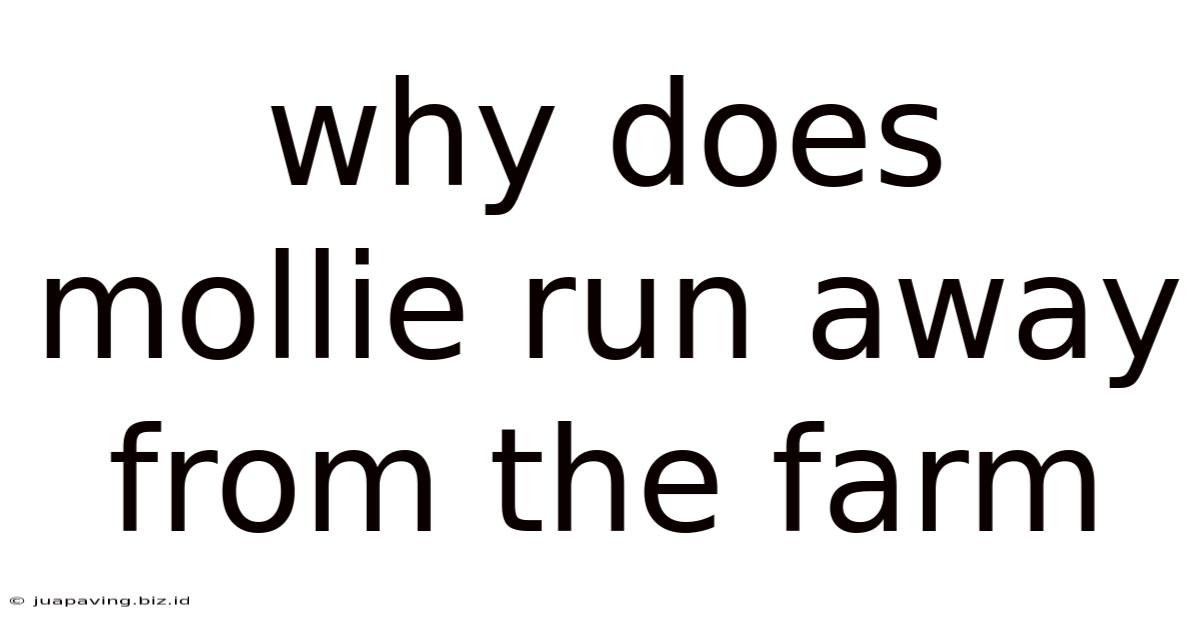 Why Does Mollie Run Away From The Farm