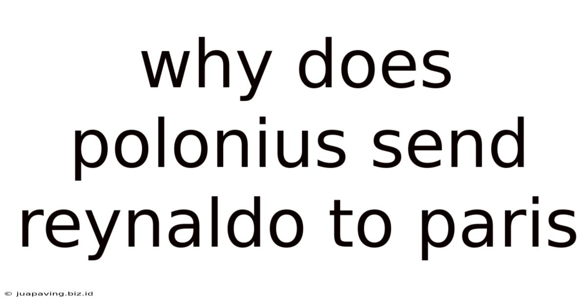 Why Does Polonius Send Reynaldo To Paris