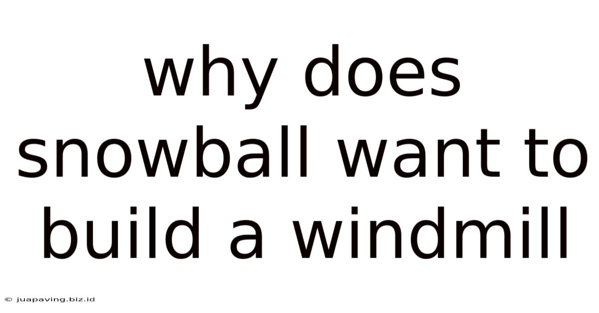 Why Does Snowball Want To Build A Windmill