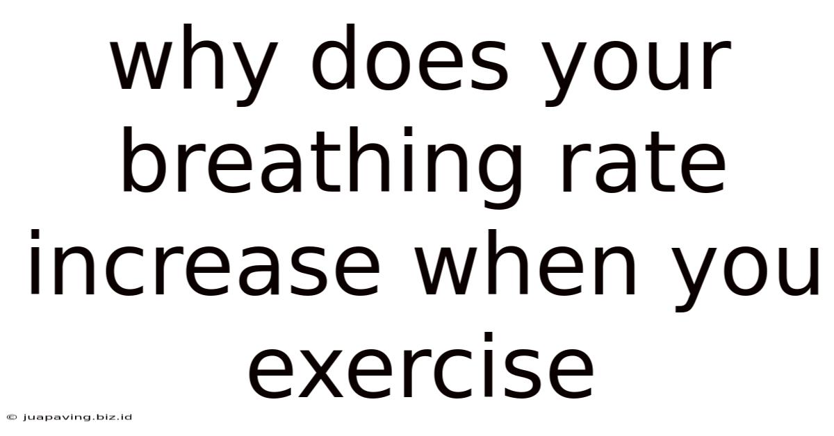 Why Does Your Breathing Rate Increase When You Exercise
