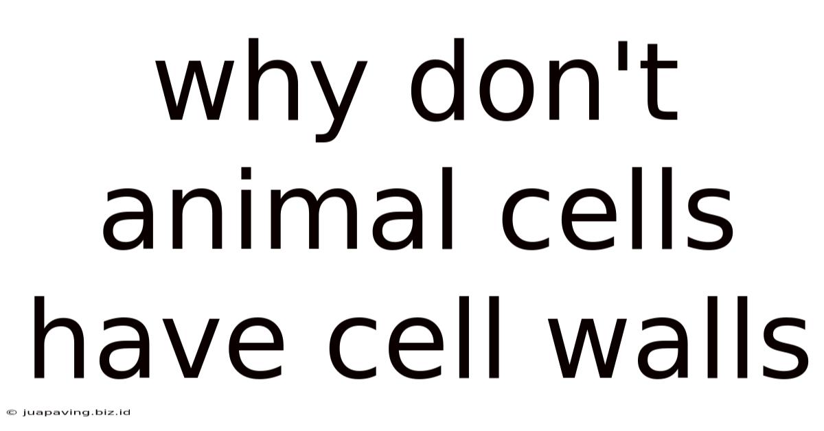 Why Don't Animal Cells Have Cell Walls