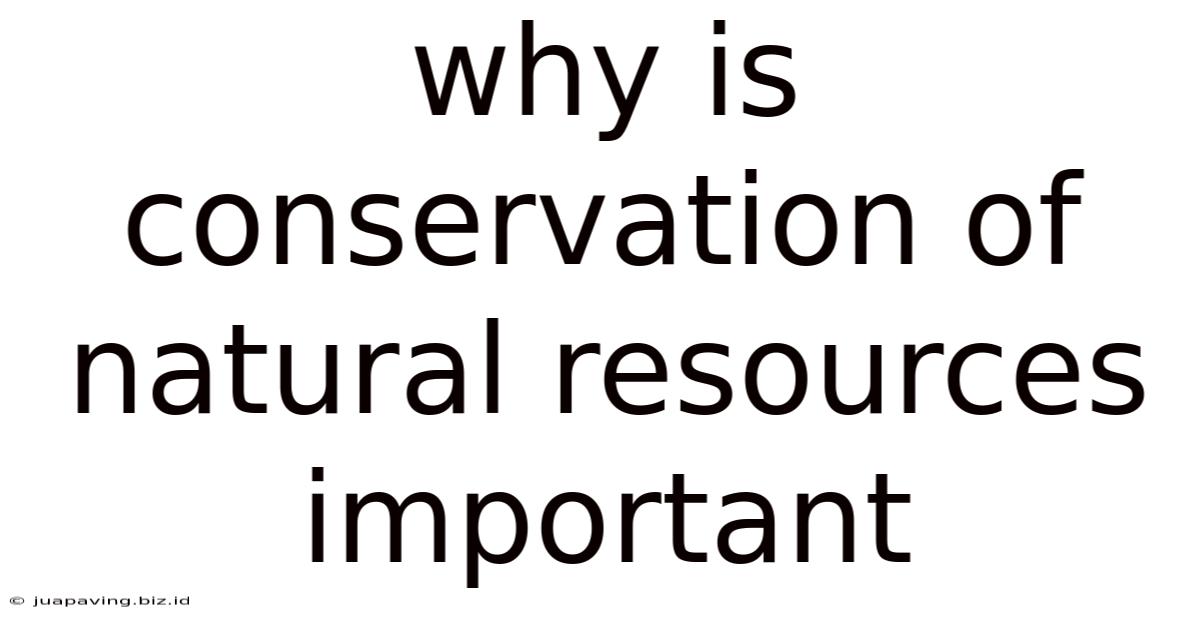 Why Is Conservation Of Natural Resources Important