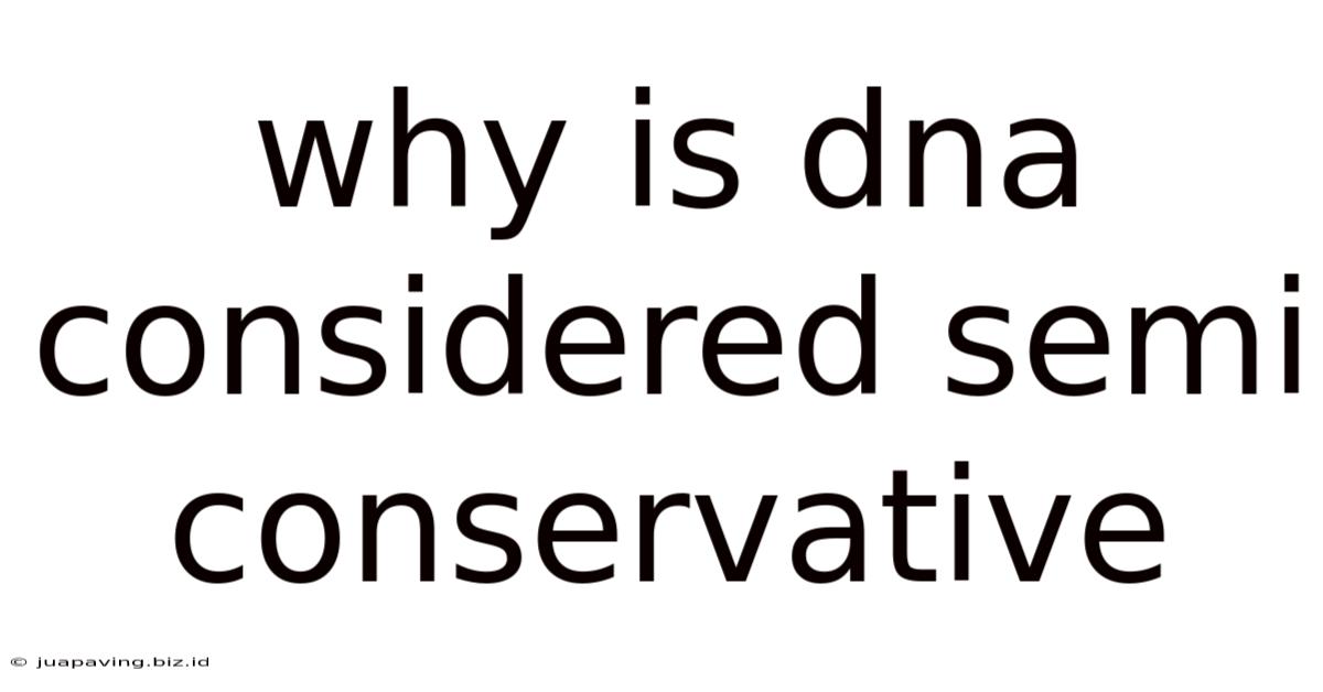 Why Is Dna Considered Semi Conservative
