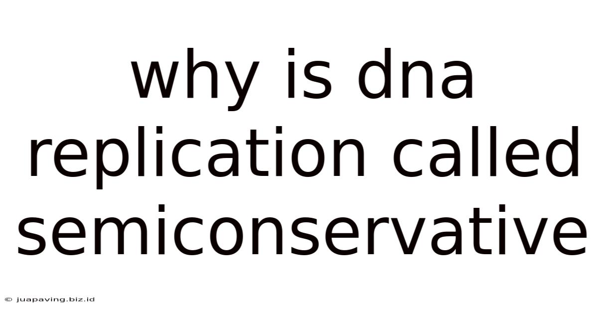 Why Is Dna Replication Called Semiconservative