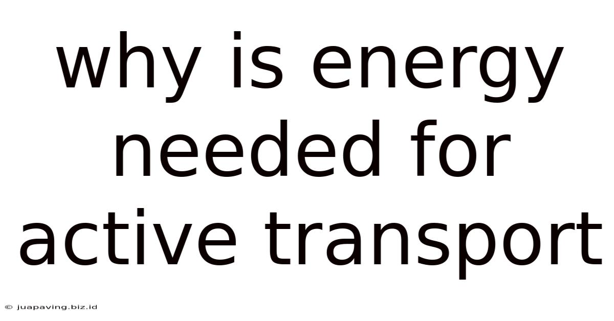 Why Is Energy Needed For Active Transport