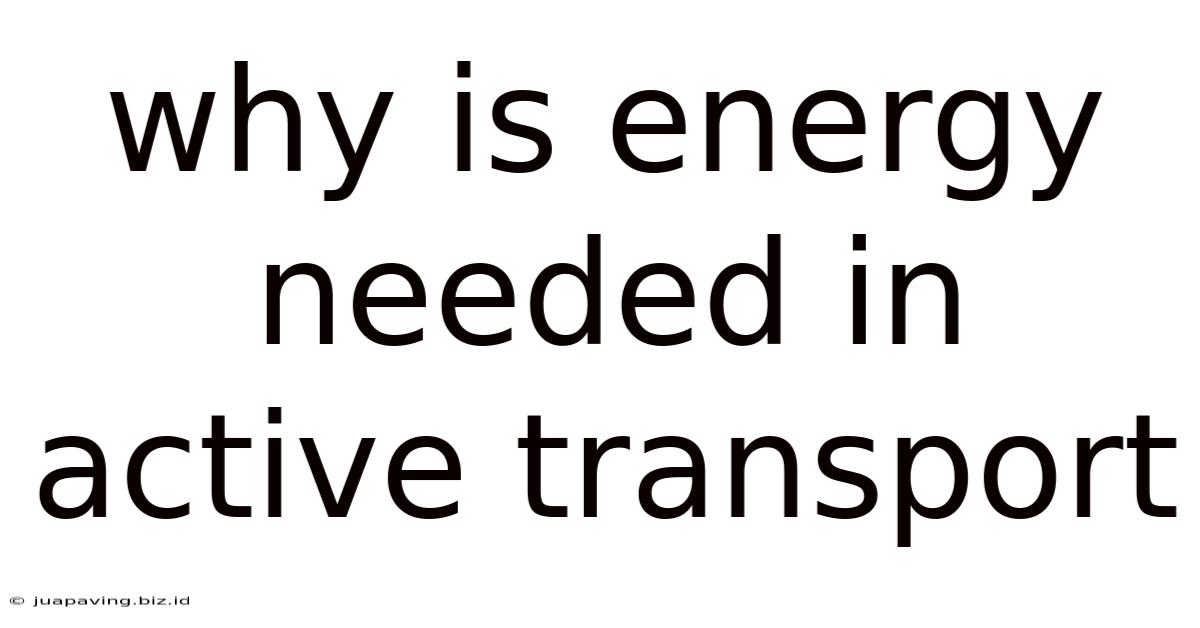 Why Is Energy Needed In Active Transport