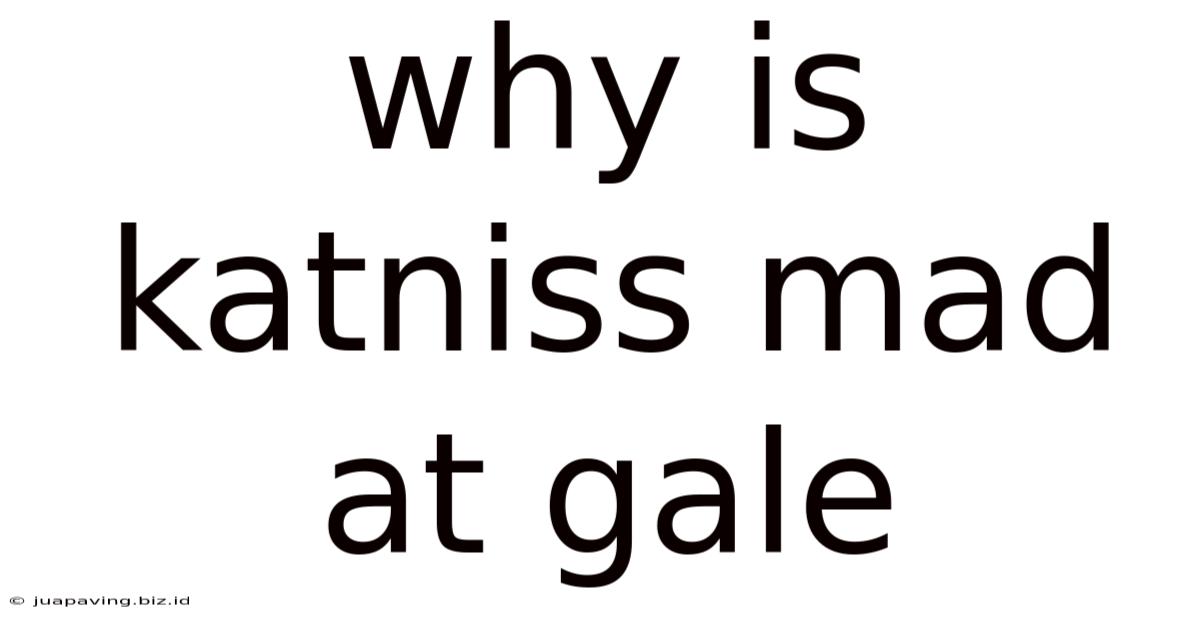 Why Is Katniss Mad At Gale